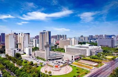 郑州高新区引进“最强大脑” 抢“博”先人一步 “