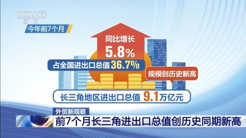 引进来 走出去 双向发力 前7个月长三角进出口总值创新高