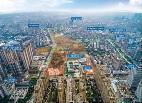 好消息 湘潭高新区两宗地块成功挂牌